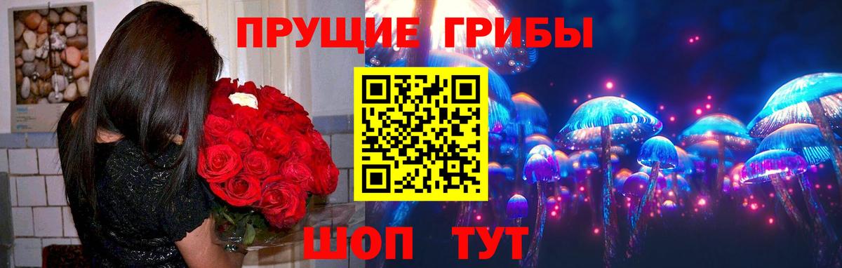 Галлюциногенные грибы прущие грибы Электросталь